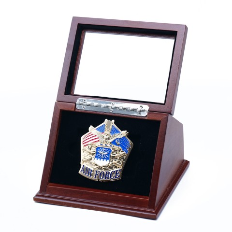 US Air Force Lapel Pin with Display Case